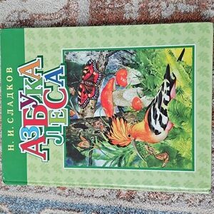 Russian Language Children's Hardcover Book. Encyclopedia Forest Animals